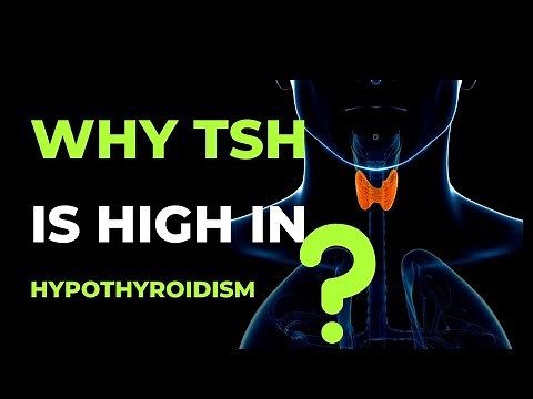 The Surprising Causes of Elevated TSH Levels in Hypothyroidism