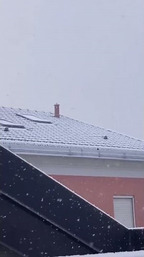 Neve da nebbia a Cameri (NO), fenomeno rarissimo! 04/01/2026