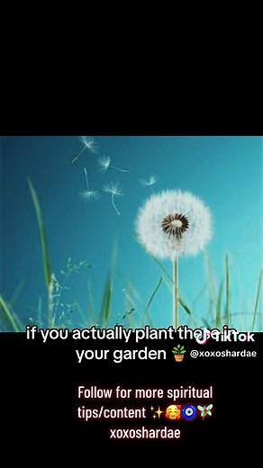 Unlocking the Spiritual Meaning of Dandelions