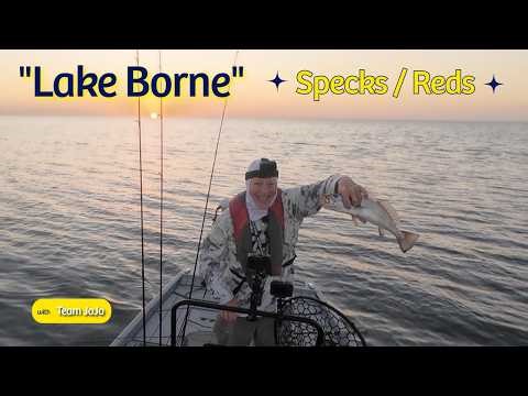 "Lake Borgne" Specks / Reds