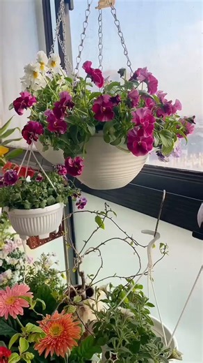 Diy Flower Decoration Ideas At Home 🌿🌺 You'll Get Amaze 🌱🌸 #gardening #homedecor #flowers #nature