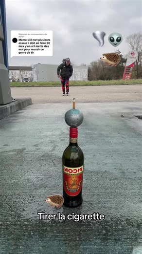 Vidéos de Pépite🦔 (@pepite______) avec son original - Pépite🦔