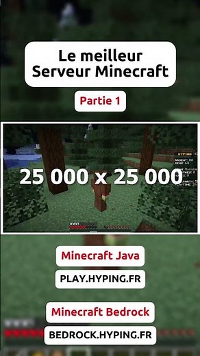 Le meilleur Serveur Minecraft Java & Bedrock de 2025 ! (Partie 1)