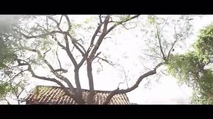 262K views · 288 shares | New 30-min film takes you Face to Face with...