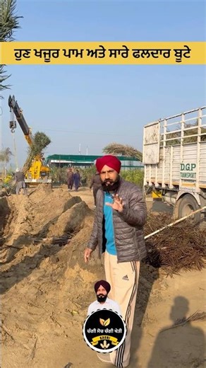 Date palm Fruit Plants