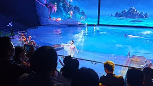 【小梅沙海洋世界】震撼的梅沙之心表演