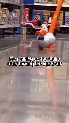 Duck running meme
