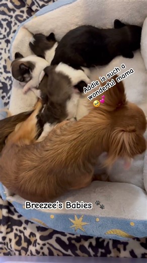 Addie is doing a great job! 🙏🏻 I’m so proud! 🥰