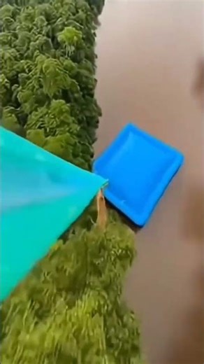 HAYOLO UJINYALI BERANI #shorts #lucu #humor #atraksi #ujinyali #berani #wow