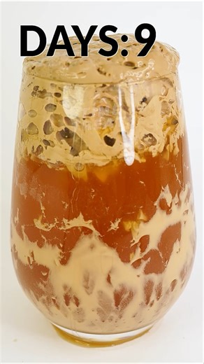 Rotting Ice coffee in Timelapse 🪰😂#satisfying #decay #timelapse | Time Treats