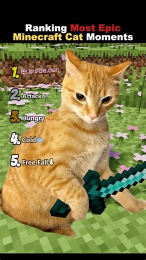 Ranking Most Epic Minecraft Cat Moments Part 3😹 (#1WINS)