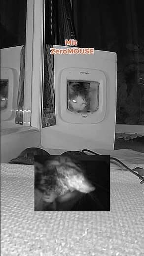 Komplexe Technik einfach erklärt – unser Case in Action 😺💡