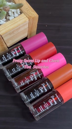 Pretty Secret Lip and Cheek Tint Shades Swatches