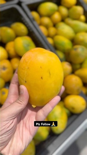 🥭 Lulu Mall Lucknow ka Mango Fest full swing me hai!