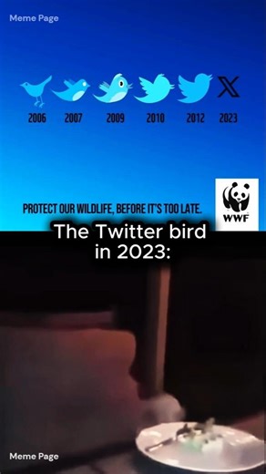 “Twitter Bird Evolution 😢 → X (2023)” #memes