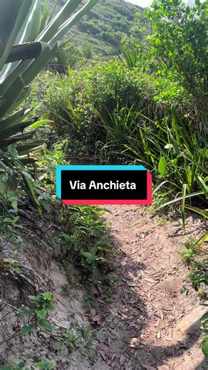 Exploring Via Anchieta: Historical Insights and Curiosities