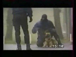 YouTube اخطر كلب بوليسي في العالم ‎