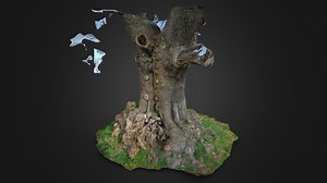 Veteran Oak Tree with Stem Burrs - 3D model by Arb Innovators (@callumARBInnovators)