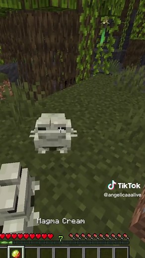 What Minecraft Frogs Eat? Explained