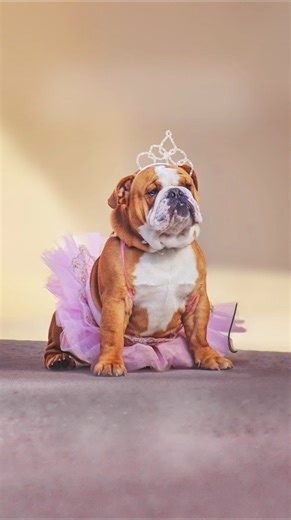 According to the Time Dragon Clock, you have three more days to fetch our wickedly good Howl-o-ween treats from Target! 💚 ♥️ Don't wait! | Three Dog Bakery