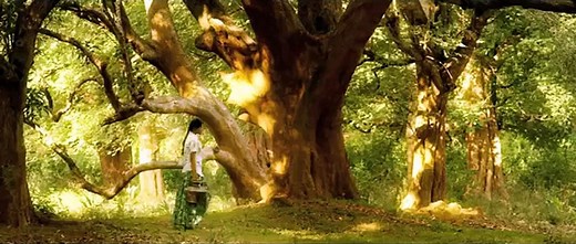 Kayal Official Trailer | D. Imman | Anandhi, Chandran