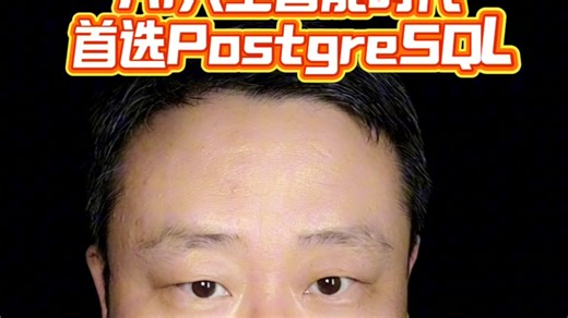 #人工智能 时代 开发的技术架构正在发生变化，最底层的数据库推荐#postgresql 支持的技术范围广泛，#java #python go c rust