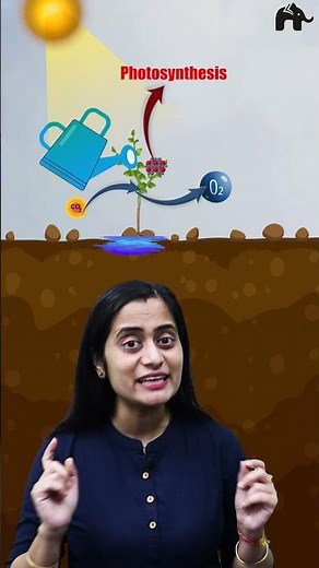 Plant growth and development One shot with Roshni Mam #concepthogacrystalclear