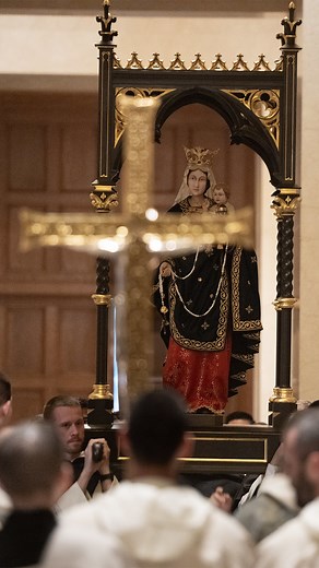 14K views · 643 reactions | I am entirely yours. Thousands sang Totus Tuus as the 2025 Dominican Rosary Pilgrimage began with a solemn procession and the blessing of the Queen of the Most Holy Rosary statue. | Dominican Rosary Pilgrimage | Facebook