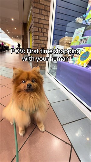 Manor Walks Becomes Dog-Friendly Shopping Destination