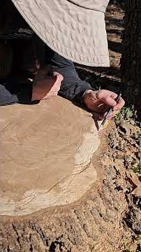 Growth rings don't lie! #wood #history #kansascity #tree #nature #science #plants #arborist