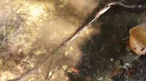 Fishing and playing duck duck goose