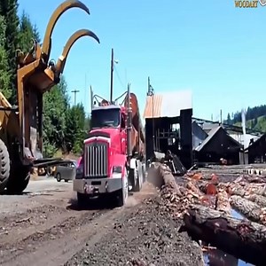 278K views · 1.3K reactions | transportation and logging | Extreme Machines | Facebook