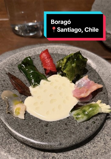Boragó 📍Santiago, Chile 🇨🇱 De los mejores restaurantes del mundo, y de esas experiencias que se te quedan para siempre. Es una locura todo lo que hacen en este lugar, un nivel muy arriba de lo que un restaurante debería de ser. Esto es más un centro de investigación donde realmente vas a probar cosas que nunca en tu vida volverás a ver probablemente. Yo iba con más bajas expectativas del sabor, y me voló la cabeza en todos los sentido. El chef Rodolfo es un GENIO, y me encanta la visión, ya q