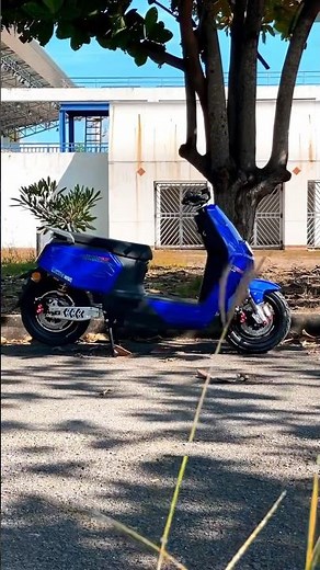 BBB EV BIKE Lion SKS Z-II Gen2