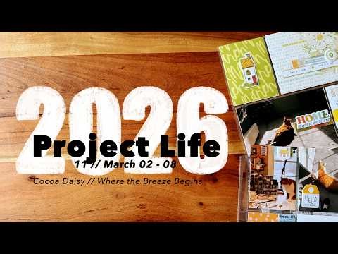 2026 Project Life // 11 - March 02 - 08