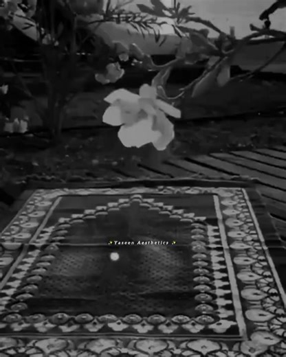 Walli Pathan (@walli.pathan)’s videos with original sound - Walli Pathan