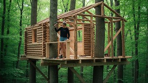 Amazing Building Treehouses In Wild | Bushcraft ASMR | Creative Wilderness