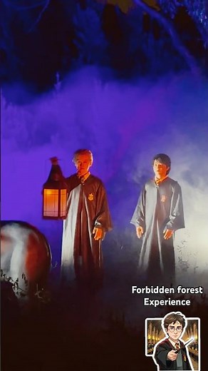 Harry Potter forbidden forest experience at Perth