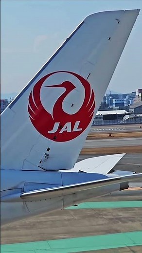 A350 Rudder Control Check | Airbus Flight Controls