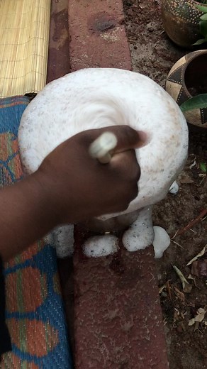 How to Make Igobongo: Step-by-Step Guide | Traditional Zulu Ritual