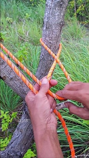Strong Tree Trunk Knots for Camping and Survival #ropetrick #knotting #outdoorlife