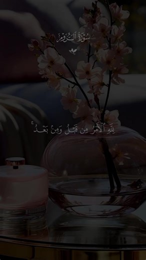 تلاوة سورة الروم بصوت سعد الغامدي