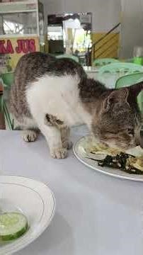 Cuci mulut pake kol dan timun