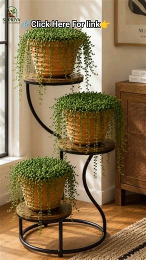 ✨Stylish INDOOR PLANT Stand 3Tier 🌿 #trending #shorts #short #yt #viral #indoor_plants