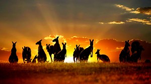 404K views · 602 reactions | HOW TO FIND CAMPGROUNDS AROUND AUSTRALIA...