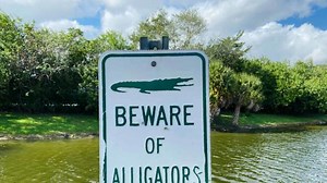 Beware of These Alligator-Infested U.S. Lakes