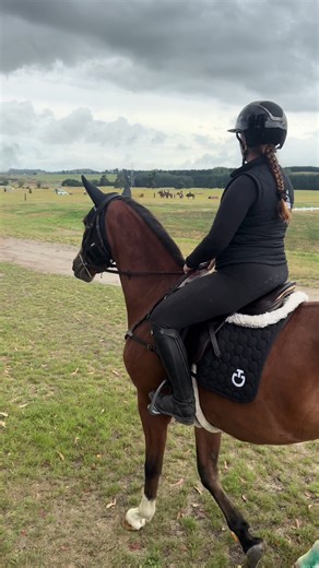 Blues first ever stay over pony party and fifth ride!! I’m obsessed with him 🥹🫶🏻 #fyp #equestrian #horsesoftiktok #ilovemyhorse #blessed