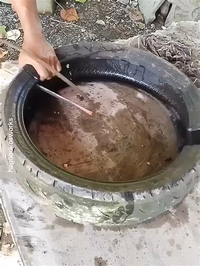 Exploring British and French Celebrity Culture