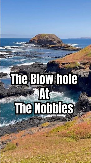 Phillip Island top Attractions | The Nobbies and Seal ROCK! #melbourne #thingstodo