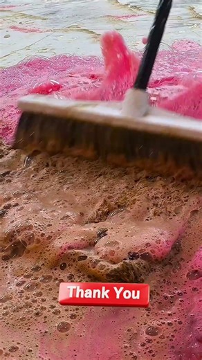 Watch This Carpet Go From Muddy to Gorgeous #satisfying #woolrugcleaning #oddlysatisfying